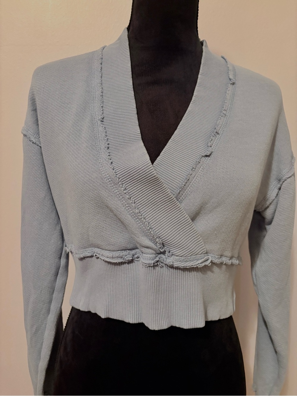 American Eagle Outfitters Light Blue Cropped Sweater